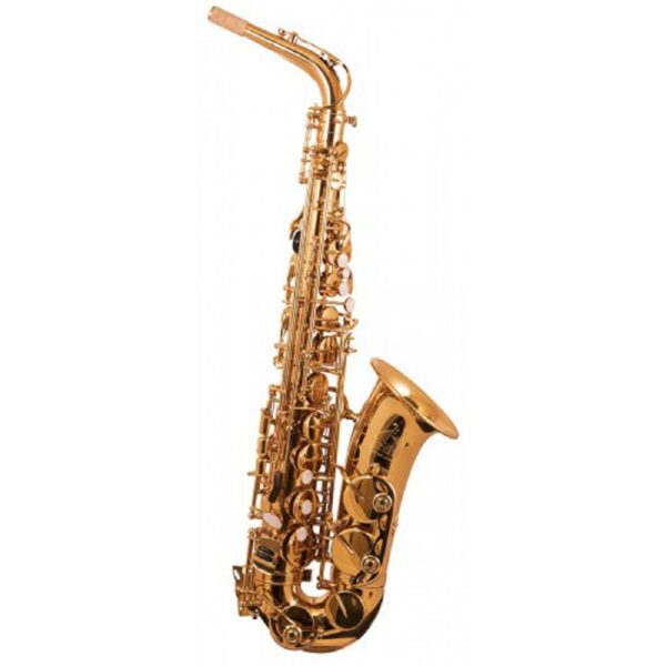 All Audio Music Rental Glasgow - Trevor James Alto Sax Hire